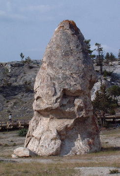 Liberty Cap